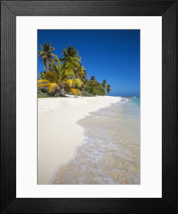 Framed Print : Dominican Republic, Punta Cana, Parque Nacional del Este, Saona Island, Canto de la Playa Framed Print : Dominican Republic, Punta Cana, Parque Nacional del Este, Saona Island, Canto de la Playa