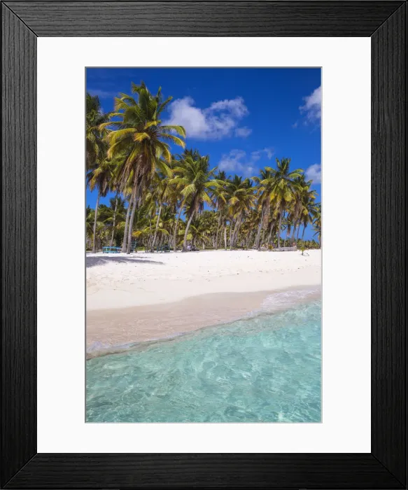 Framed Print : Dominican Republic, Punta Cana, Parque Nacional del Este, Saona Island, Canto de la Playa Framed Print : Dominican Republic, Punta Cana, Parque Nacional del Este, Saona Island, Canto de la Playa
