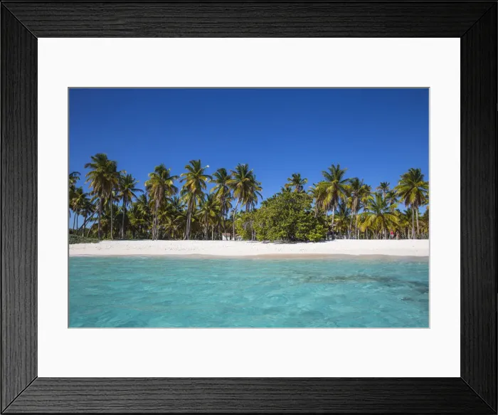 Framed Print : Dominican Republic, Punta Cana, Parque Nacional del Este, Saona Island, Canto de la Playa Framed Print : Dominican Republic, Punta Cana, Parque Nacional del Este, Saona Island, Canto de la Playa