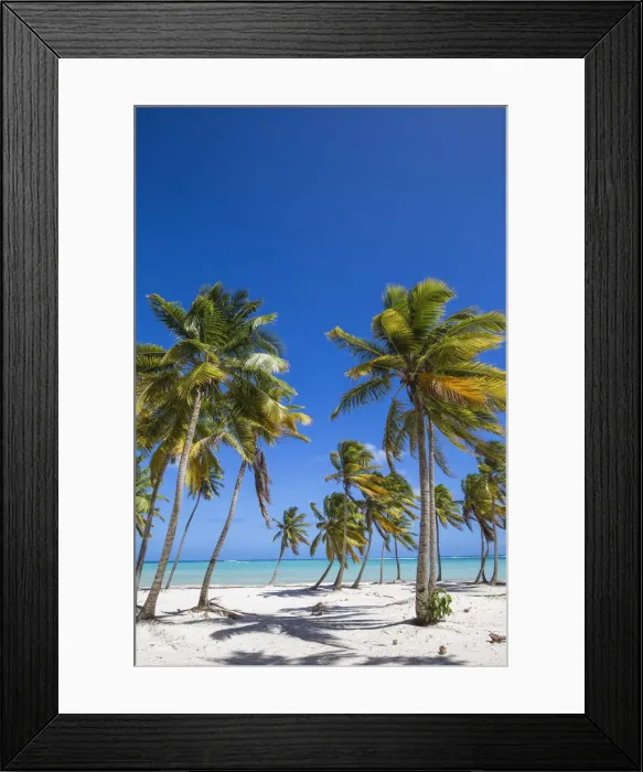 Framed Print : Dominican Republic, Punta Cana, Cap Cana beach Framed Print : Dominican Republic, Punta Cana, Cap Cana beach