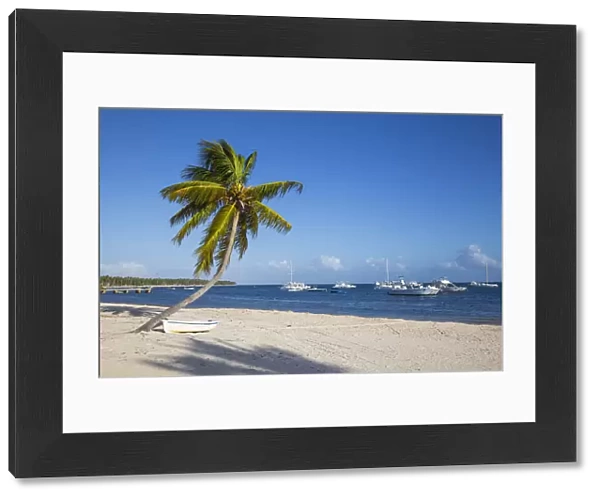Dominican Republic, Punta Cana, Canoe under palm tree on Playa Cabeza de Toro
