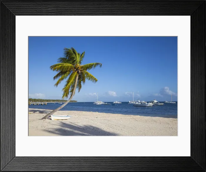 Framed Print : Dominican Republic, Punta Cana, Canoe under palm tree on Playa Cabeza de Toro Framed Print : Dominican Republic, Punta Cana, Canoe under palm tree on Playa Cabeza de Toro