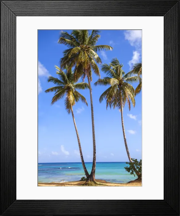Framed Print : Dominican Republic, Samana Peninsula, Beach at Las Terrenas