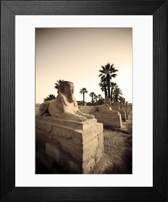 Framed Print : Egypt, Luxor, Luxor Temple, Avenue of Sphinxes