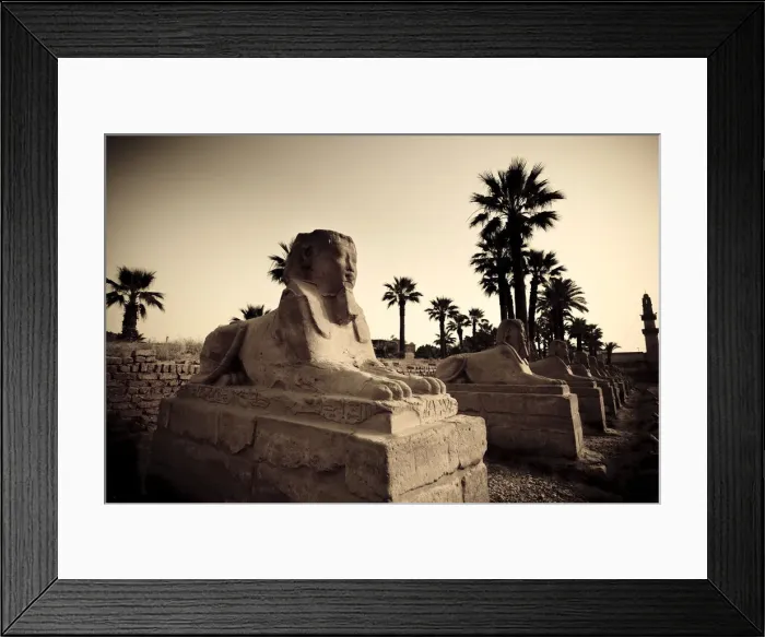 Framed Print : Egypt, Luxor, Luxor Temple, Avenue of Sphinxes Framed Print : Egypt, Luxor, Luxor Temple, Avenue of Sphinxes