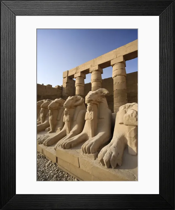 Framed Print : Egypt, Luxor, Karnak, Temple of Amun, Ram headed Sphinxes