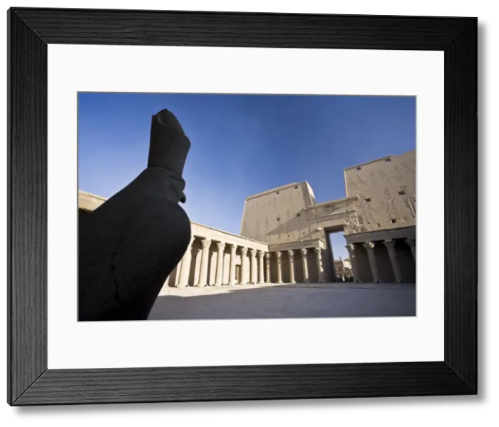 Framed Print : Egypt, Edfu, Temple and Statue of Orus (the Hawk God, Protector of Osiris) Framed Print : Egypt, Edfu, Temple and Statue of Orus (the Hawk God, Protector of Osiris)