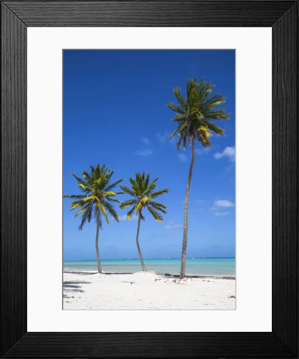 Framed Print : Dominican Republic, Punta Cana, Cap Cana beach