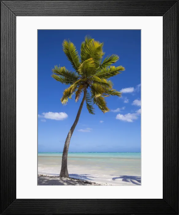 Framed Print : Dominican Republic, Punta Cana, Cap Cana beach Framed Print : Dominican Republic, Punta Cana, Cap Cana beach