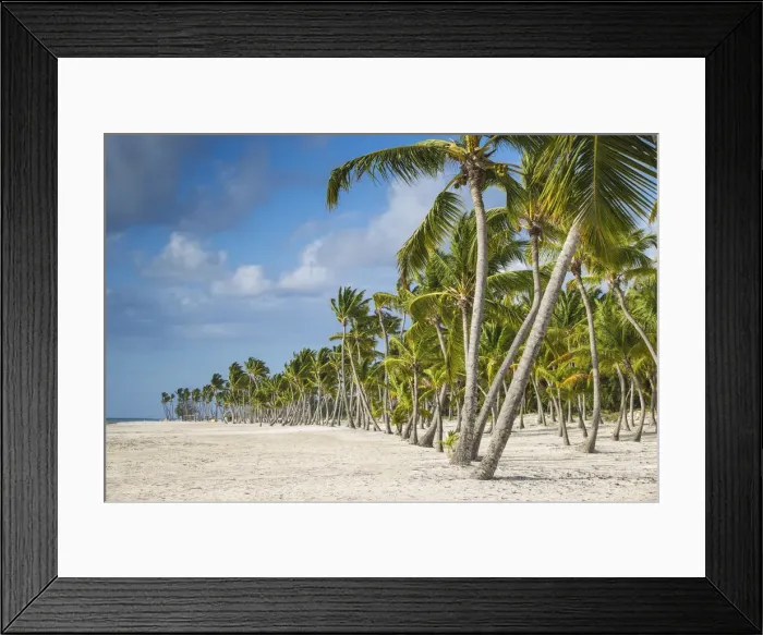 Framed Print : Dominican Republic, Punta Cana, Cap Cana, Juanillo Beach Framed Print : Dominican Republic, Punta Cana, Cap Cana, Juanillo Beach