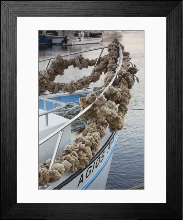 Framed Print : USA, Florida, Tarpon Springs, Greek sponge fishing town, natural sponges on sponge-diving Framed Print : USA, Florida, Tarpon Springs, Greek sponge fishing town, natural sponges on sponge-diving