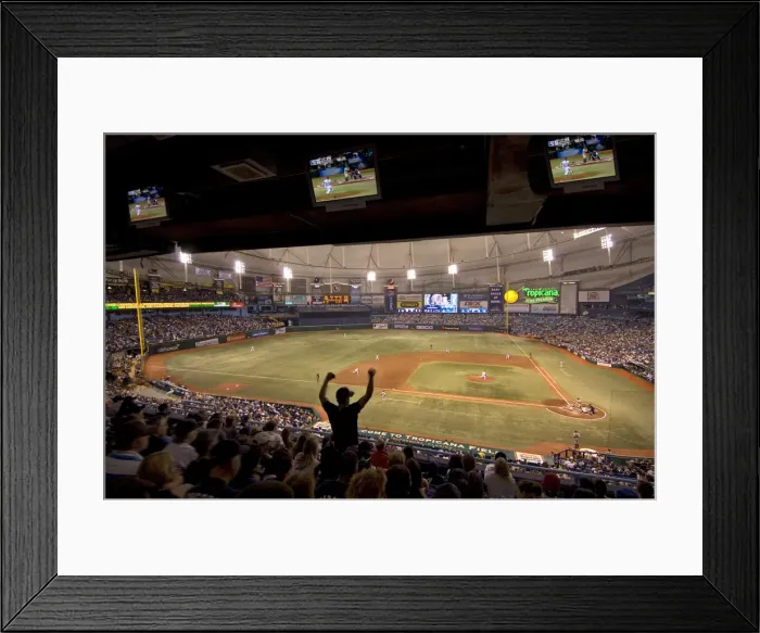 Framed Print : USA, Florida, Saint Petersburg, Tropicana Field (Baseball Stadium), Tampa Bay Rays Framed Print : USA, Florida, Saint Petersburg, Tropicana Field (Baseball Stadium), Tampa Bay Rays