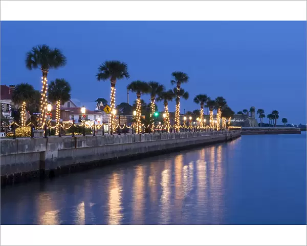 USA, Florida, Saint Augustine, Nights of Lights Christmas Celebration, Palm