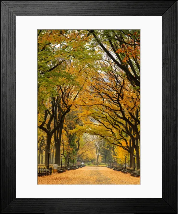 Framed Print : USA, New York City, Manhattan, Central Park, The Mall Framed Print : USA, New York City, Manhattan, Central Park, The Mall