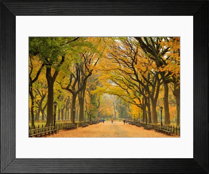 Framed Print : USA, New York City, Manhattan, Central Park, The Mall Framed Print : USA, New York City, Manhattan, Central Park, The Mall