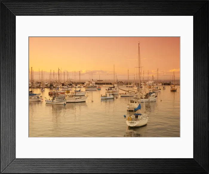 Framed Print : USA, California, Monterey, Marina Framed Print : USA, California, Monterey, Marina