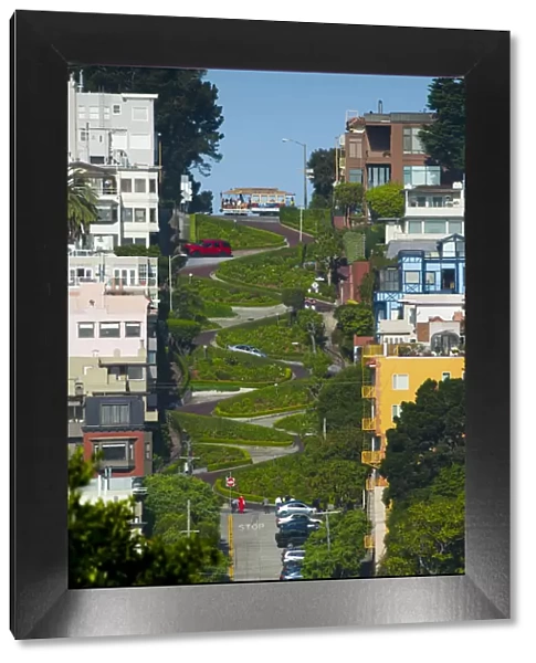 USA, California, San Francisco, Lombard Street, the Crookedest street in the world
