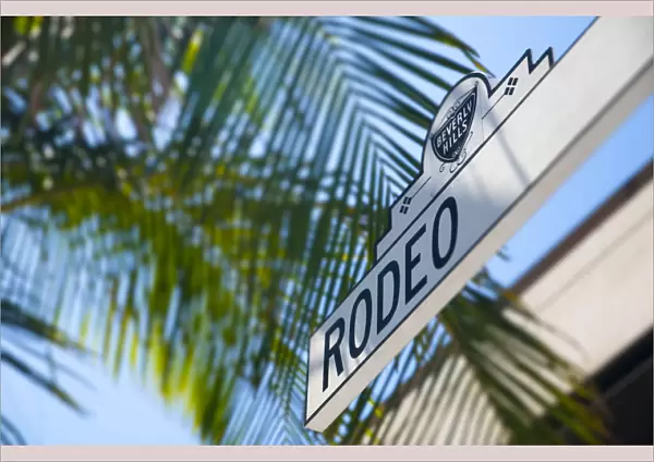 USA, California, Los Angeles, Beverley Hills, Rodeo Drive