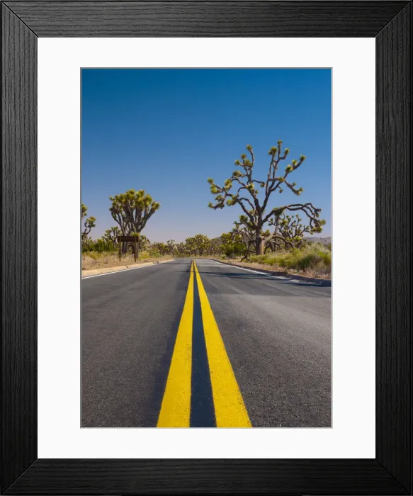 Framed Print : USA, California, Joshua Tree National Park