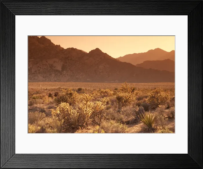 Framed Print : USA, California, Mojave National Preserve, Granite Mountins in background Framed Print : USA, California, Mojave National Preserve, Granite Mountins in background