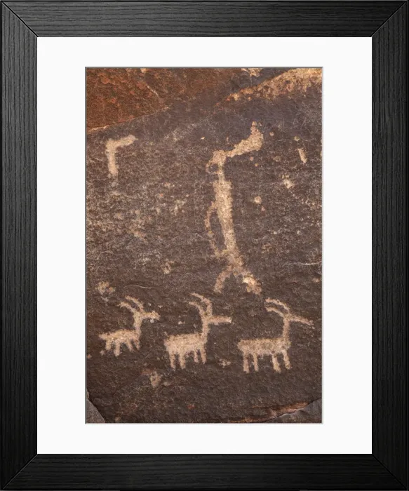 Framed Print : USA, Arizona, Holbrook, Petrified Forest National Park, Ancient Petroglyphs Framed Print : USA, Arizona, Holbrook, Petrified Forest National Park, Ancient Petroglyphs