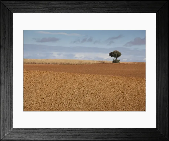 Framed Print : Spain, Castilla y Leon Region, Zamora Province, Benavente, farm field in autumn
