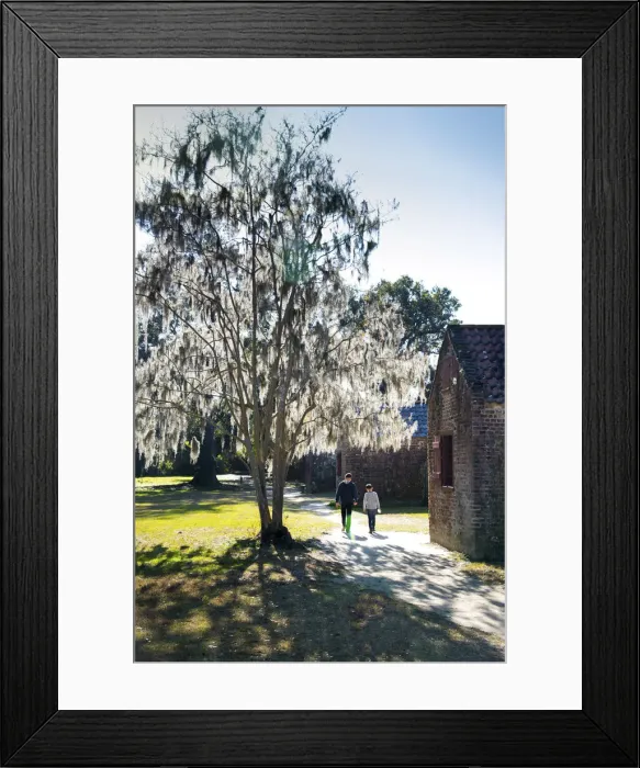 Framed Print : Charleston, South Carolina, Boone Hall Plantation And Gardens, Antebellum Era, Slave Framed Print : Charleston, South Carolina, Boone Hall Plantation And Gardens, Antebellum Era, Slave