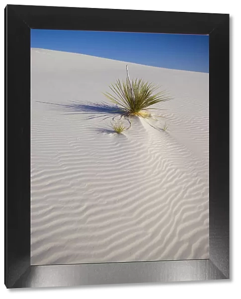 USA, New Mexico, White Sands National Monument