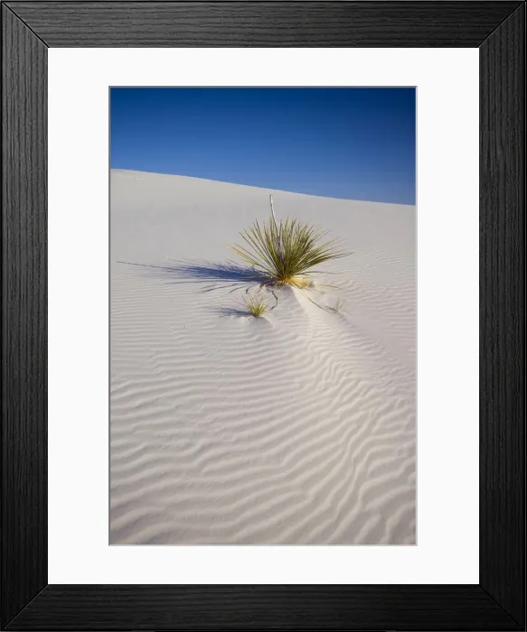Framed Print : USA, New Mexico, White Sands National Monument Framed Print : USA, New Mexico, White Sands National Monument