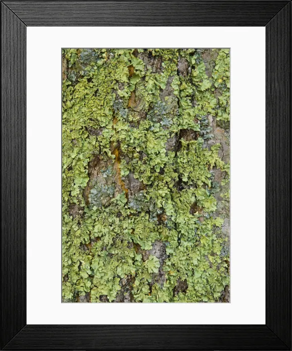 Framed Print : USA, Connecticut, Lake Waramaug Framed Print : USA, Connecticut, Lake Waramaug