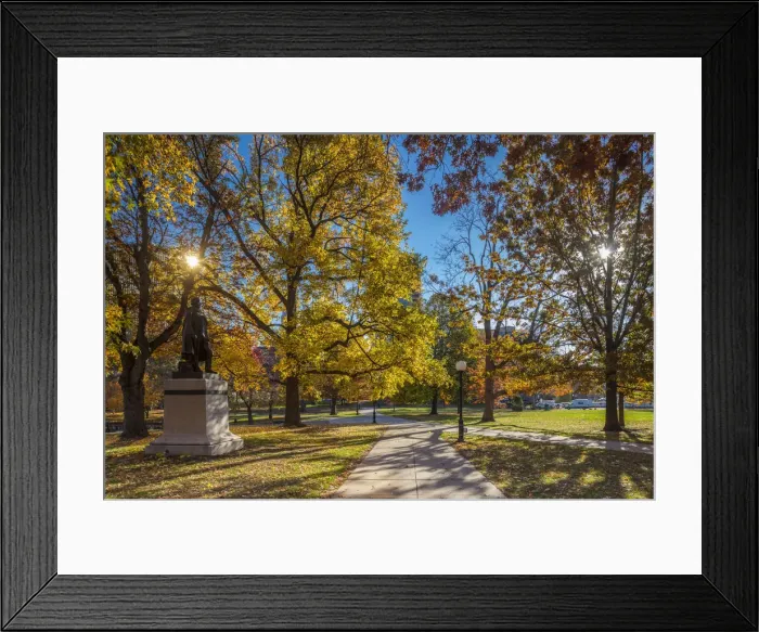 Framed Print : USA, Connecticut, Hartford, Bushnell Park, autumn, sttue of Horace Wells, discoverer Framed Print : USA, Connecticut, Hartford, Bushnell Park, autumn, sttue of Horace Wells, discoverer