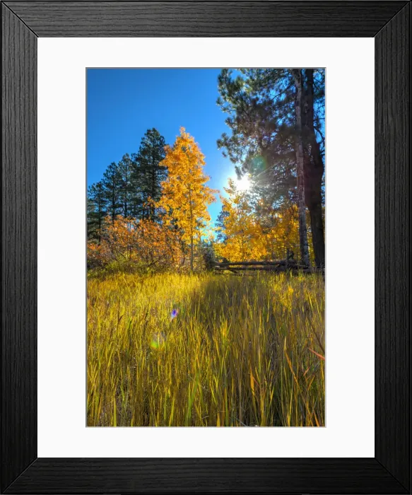Framed Print : USA, Colorado, Animas River Valley north of Durango near Haviland Lake, Autumn Foliage Framed Print : USA, Colorado, Animas River Valley north of Durango near Haviland Lake, Autumn Foliage