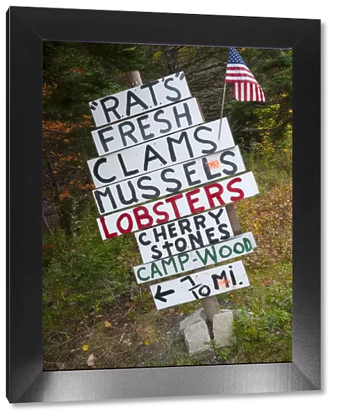 USA, Maine, Mount Desert Island, sea food for sale signs