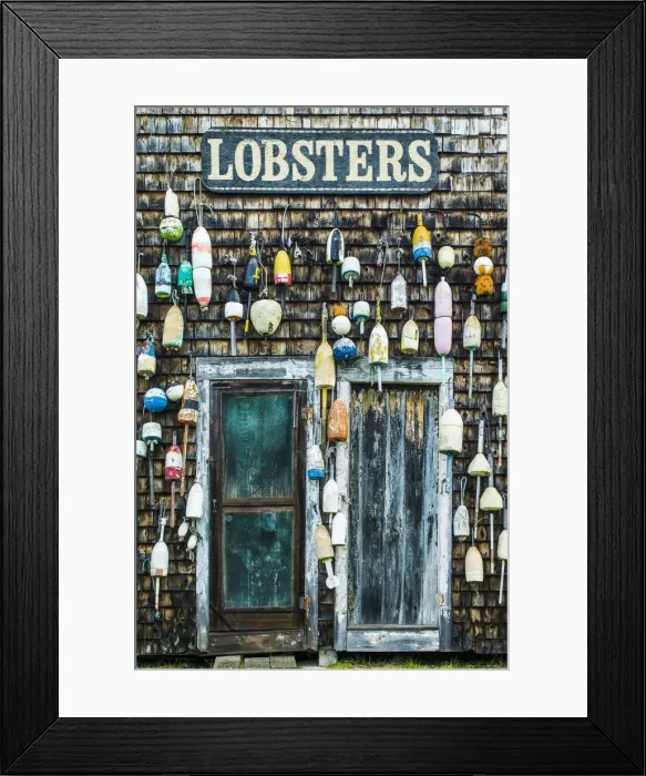 Framed Print : USA, Maine, Pemaquid Point, Lobster Buoys Framed Print : USA, Maine, Pemaquid Point, Lobster Buoys
