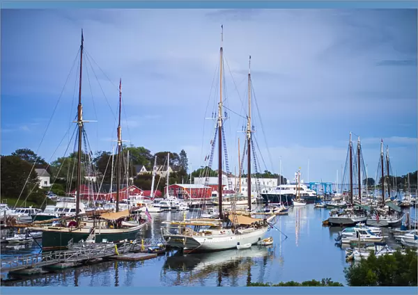USA, Maine, Camden, Camden Harbor and windjammers sailing ships