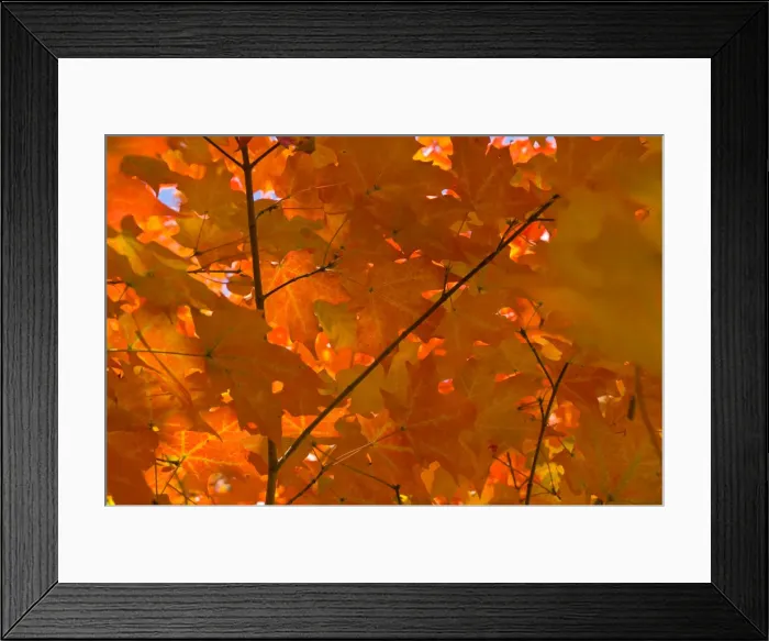 Framed Print : USA, Maine, Wiscasset Framed Print : USA, Maine, Wiscasset