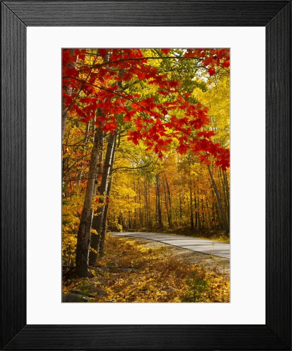 Framed Print : USA, Maine, Millinocket to Baxter State Park Road Framed Print : USA, Maine, Millinocket to Baxter State Park Road