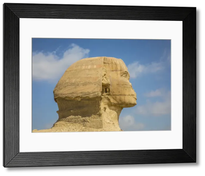 Framed Print : Sphinx, Pyramids of Giza, Giza, Cairo, Egypt