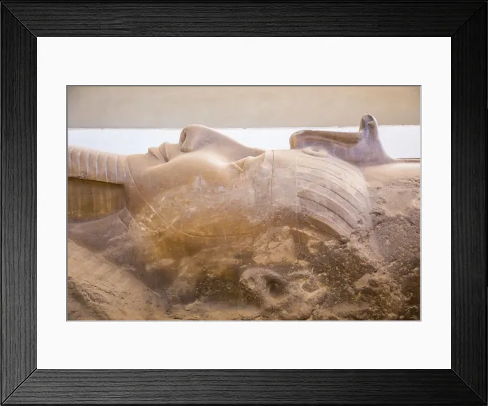 Framed Print : Statue of Ramses II, Memphis (capital of Ancient Egypt), Nr. Cairo, Egypt Framed Print : Statue of Ramses II, Memphis (capital of Ancient Egypt), Nr. Cairo, Egypt
