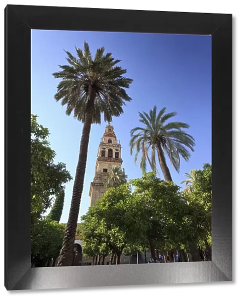 Spain, Andalucia, Cordoba, Mezquita Catedral (Mosque - Cathedral) (UNESCO Site)