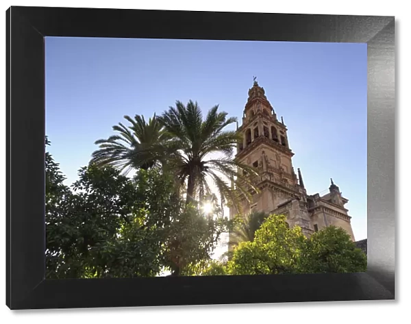Spain, Andalucia, Cordoba, Mezquita Catedral (Mosque - Cathedral) (UNESCO Site)