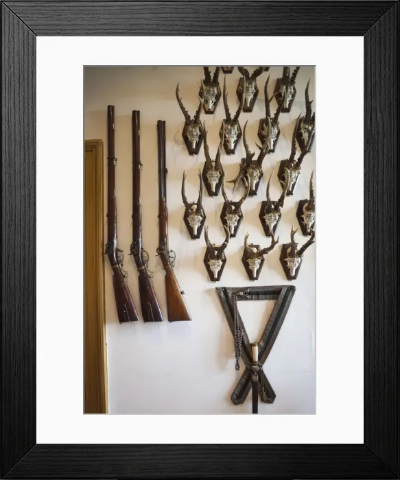 Framed Print : Denmark, Funen, Egeskov, Egeskov Castle, animal hunting trophies Framed Print : Denmark, Funen, Egeskov, Egeskov Castle, animal hunting trophies