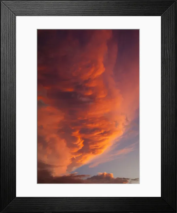 Framed Print : Dominican Republic, Punta Cana Region, Bavaro, palms and sunset sky Framed Print : Dominican Republic, Punta Cana Region, Bavaro, palms and sunset sky
