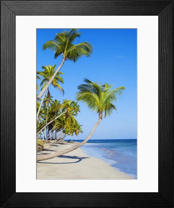 Framed Print : Dominican Republic, Samana Peninsula, Las Terrenas, Playa Bonita Framed Print : Dominican Republic, Samana Peninsula, Las Terrenas, Playa Bonita