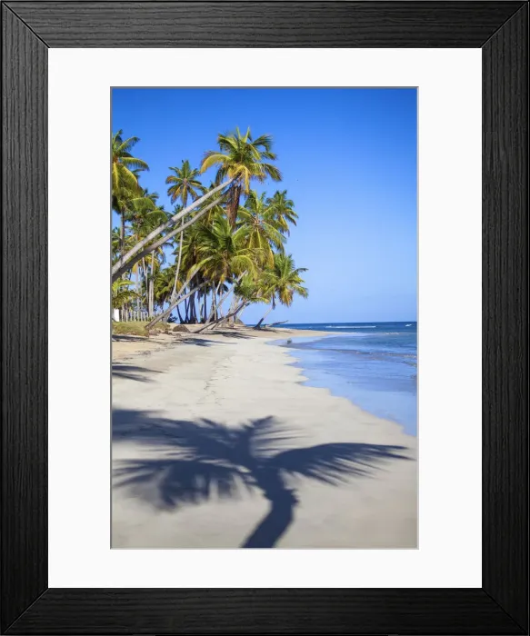 Framed Print : Dominican Republic, Samana Peninsula, Las Terrenas, Playa Bonita