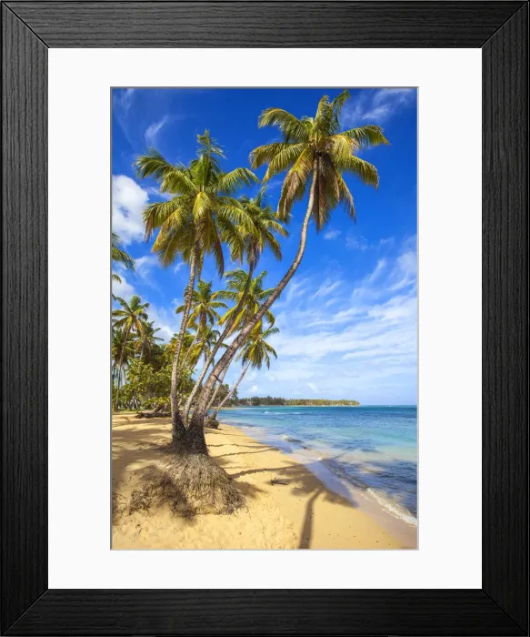 Framed Print : Dominican Republic, Samana Peninsula, Beach at Las Terrenas