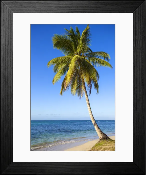 Framed Print : Dominican Republic, Samana Peninsula, Beach at Las Terrenas Framed Print : Dominican Republic, Samana Peninsula, Beach at Las Terrenas