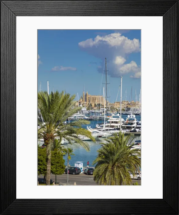 Framed Print : Cathedral La Seu and harbour, Palma, Mallorca (Majorca), Balearic Islands, Spain Framed Print : Cathedral La Seu and harbour, Palma, Mallorca (Majorca), Balearic Islands, Spain