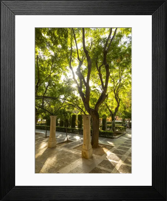 Framed Print : Av. d Antoni Maura, Palma, Mallorca (Majorca), Balearic Islands, Spain Framed Print : Av. d Antoni Maura, Palma, Mallorca (Majorca), Balearic Islands, Spain
