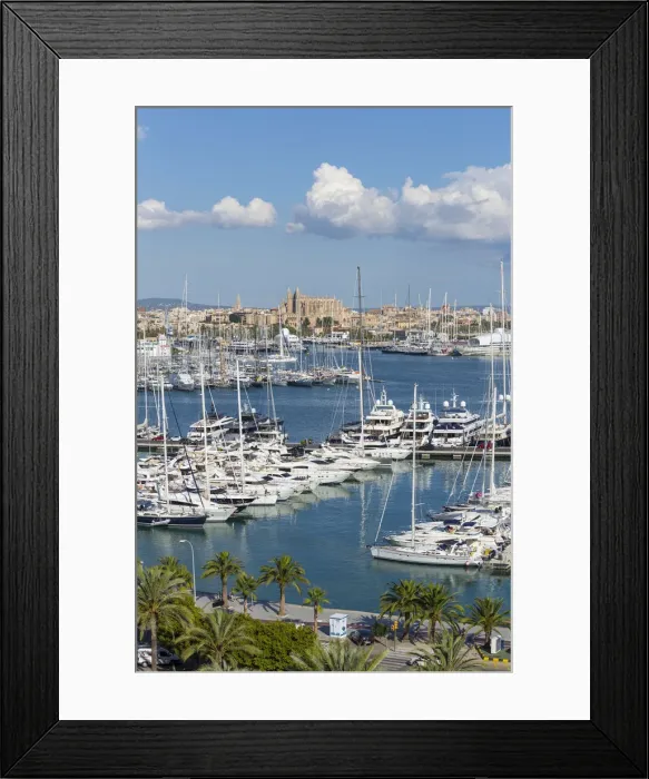 Framed Print : Cathedral La Seu and harbour, Palma, Mallorca (Majorca), Balearic Islands, Spain Framed Print : Cathedral La Seu and harbour, Palma, Mallorca (Majorca), Balearic Islands, Spain
